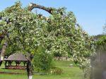 IMG_0654 - Kopia